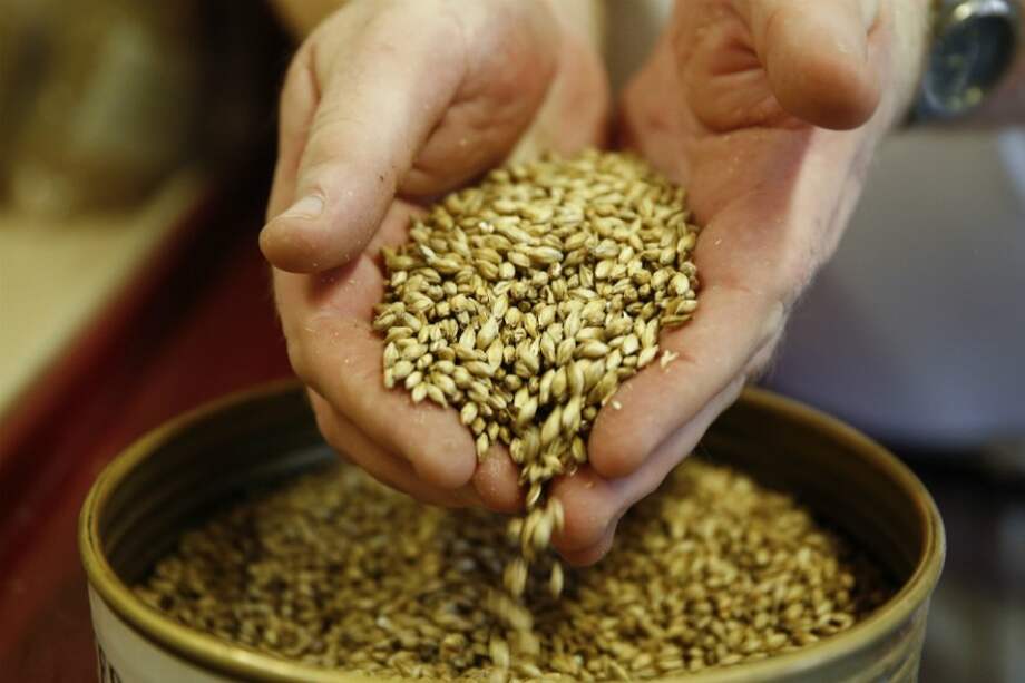 Minagricultura busca reactivación del cultivo de cebada en el Altiplano Cundiboyacense. / Bloomberg News