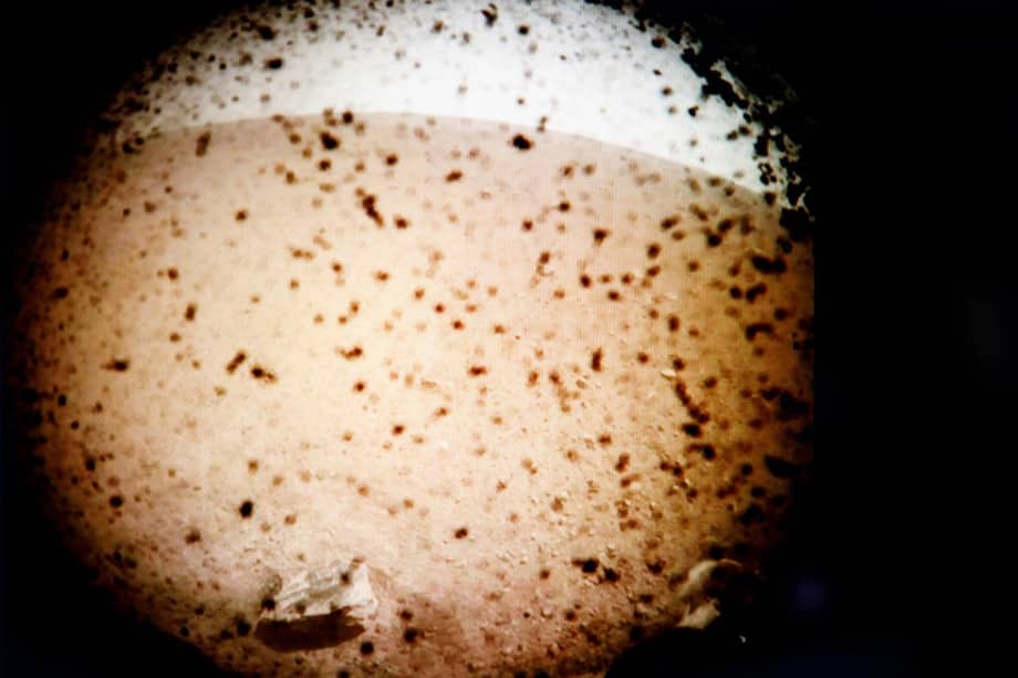 Imagen de la superficie Elysium Planitia, enviada por la nave InSight. / EFE - NASA