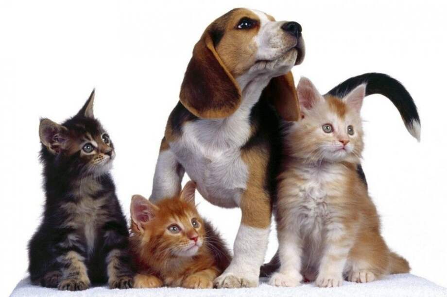 Archivo EFE / Archivo EFE