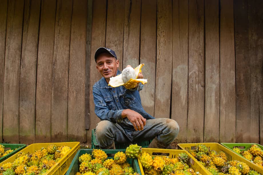 Pese a que en 2025 la población triplica con creces a la de aquella época, el mundo produce calorías más que suficientes para alimentar a todos.