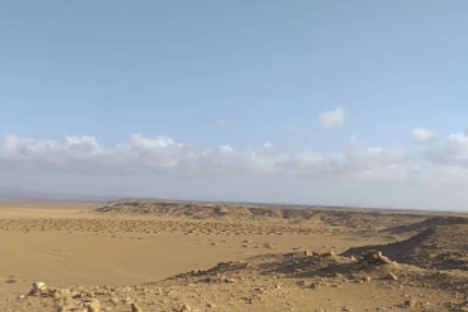 Por más de un siglo, personas de todo el mundo han intentado detener la “invasión de los desiertos” plantando “muros verdes” de árboles, a veces de miles de kilómetros de longitud.