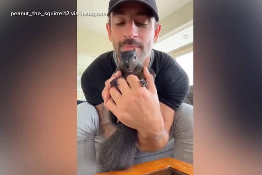 Peanut y Mark Longo.