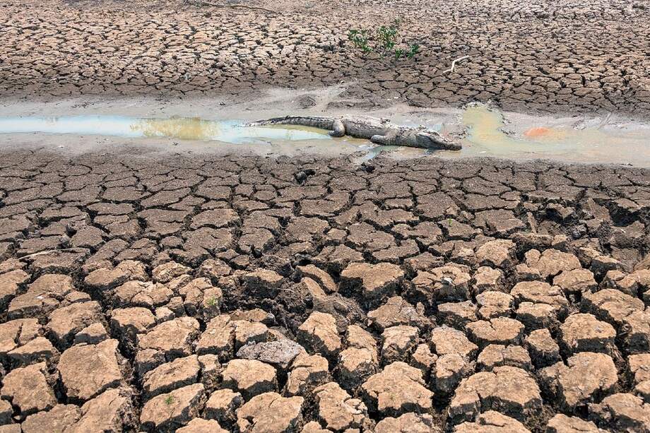 Según autoridades ambientales, el impacto y el área que tomaron las llamas en la última semana fue de 800.000 hectáreas.