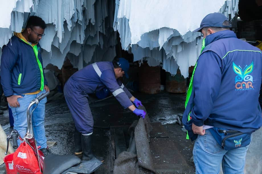 La minería ilegal y las afectaciones al recurso suelo concentraron casi la mitad de las intervenciones realizadas durante el año.