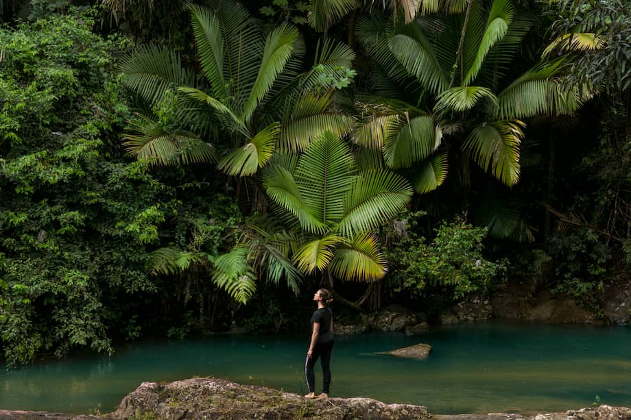 El Yunque es el único bosque tropical en el Servicio Forestal Nacional de los Estados Unidos y una de las gemas naturales más queridas de Puerto Rico.