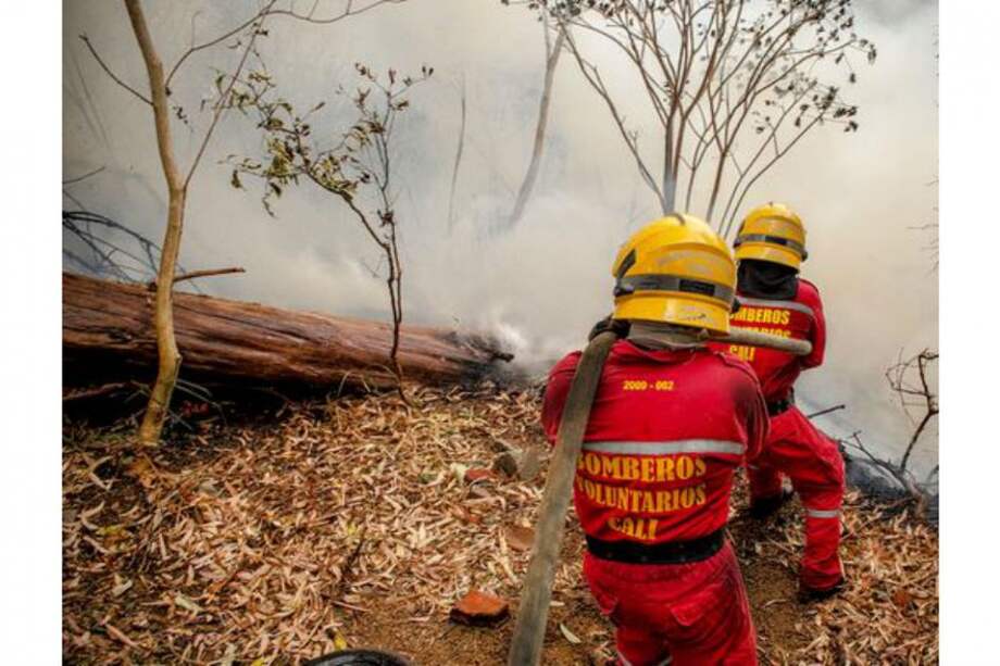 Bomberos de Cali combaten incendio forestal en el sur de la ciudad