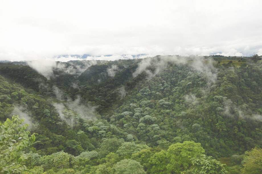 Parte alta del Distrito de Conservación Barbas-Bremen / Cortesía