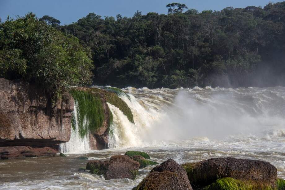 Panorámica del Parque Nacional Yaigojé-Apaporis, en límites del Amazonas y Vaupés. / Rodrigo Durán - Parques Nacionales Naturales