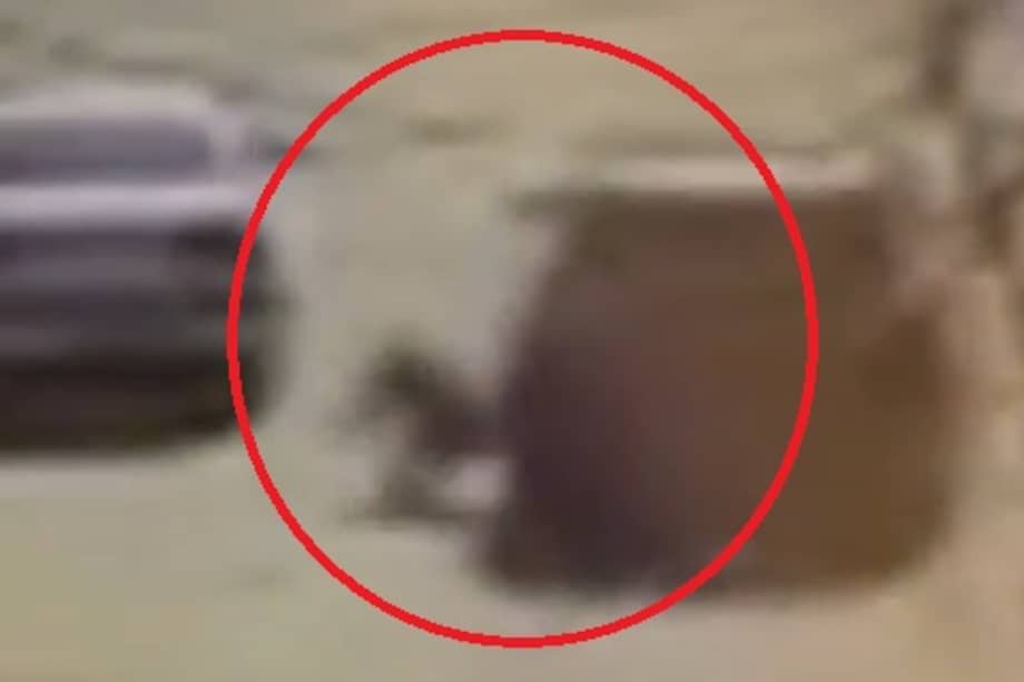 El conductor arrolló a la mujer luego de que ella le reclamara por un choque previo a su vehículo.