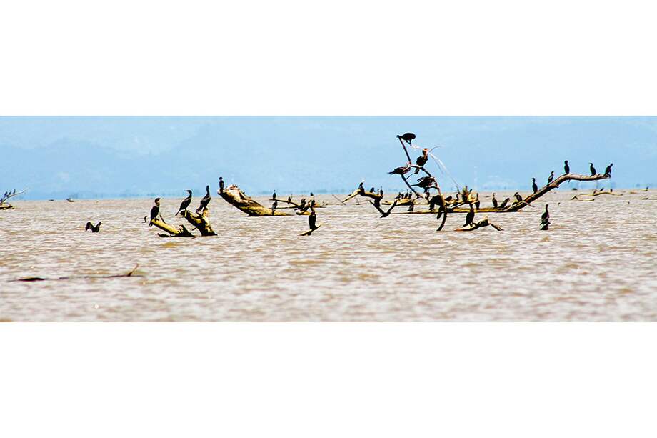 Desembocadura del río Atrato en el Golfo de Urabá.