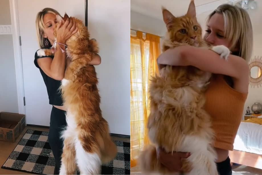 Finn tiene actualmente 7 años.