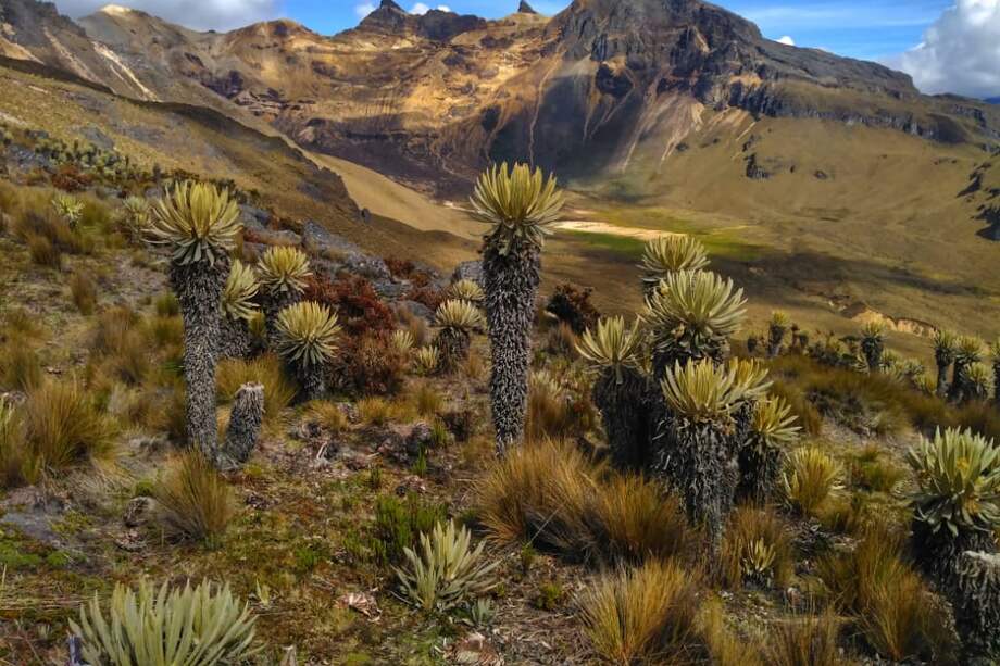 Los Pantanos y el Paramillo del Quindío.