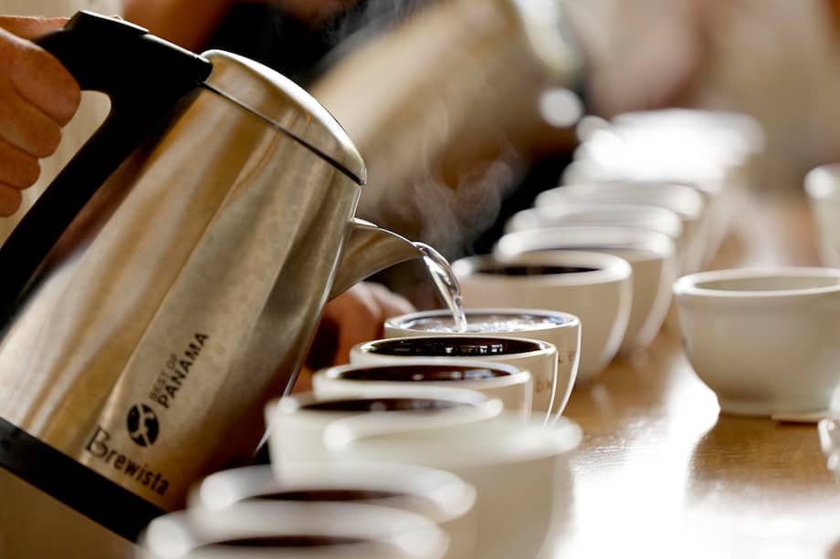 Los estudios que hay sobre el tema son limitados. EFE/Bienvenido Velasco