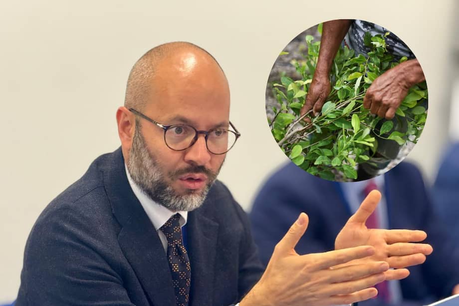 Darío Sendoya, director de Política de Drogas del Ministerio de Justicia, durante de la Comisión de Estupefacientes de Naciones Unidas número 69 en Viena.