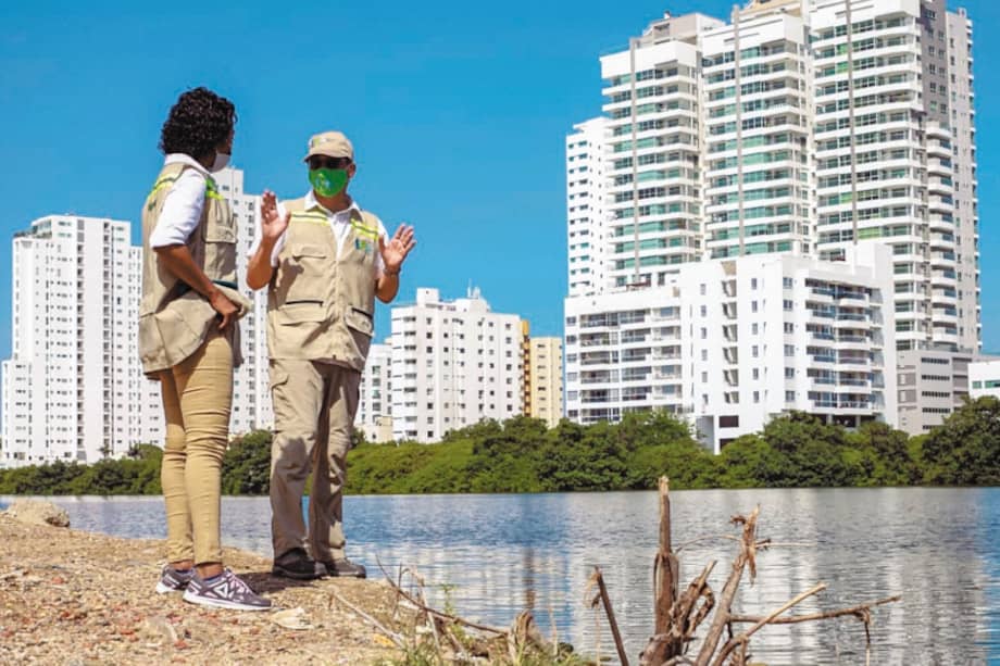 La presencia de cuatro tipos de manglares en la zona es un buen indicador para las autoridades de que la recuperación todavía es posible.