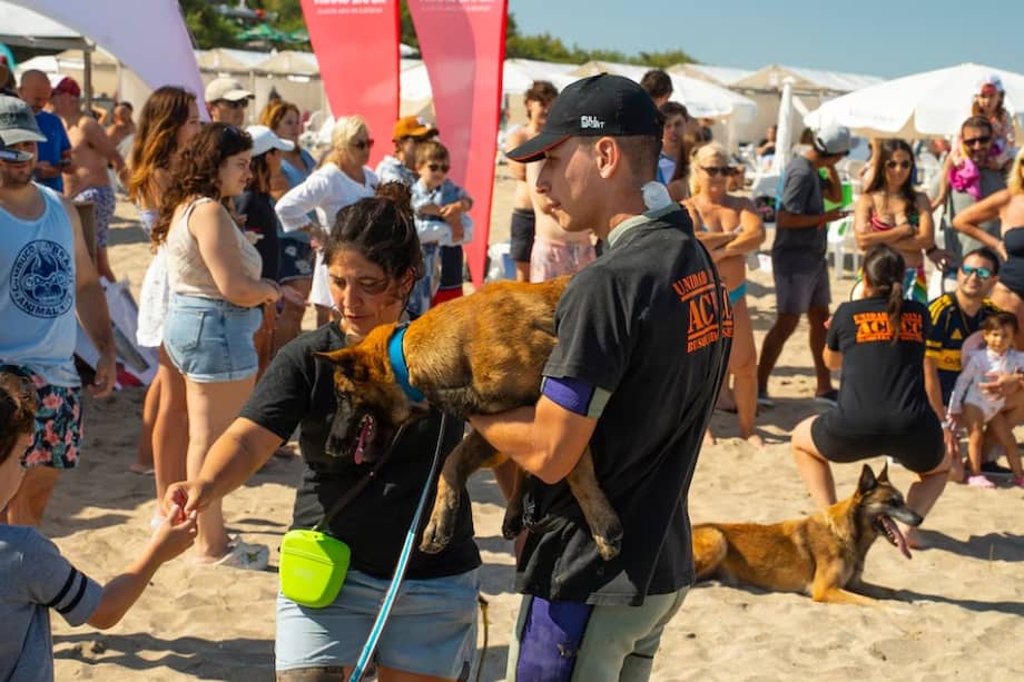 Desde los primeros días de vida, los perros son estimulados para fortalecer cualidades como el olfato, la motivación y el vínculo con su guía.