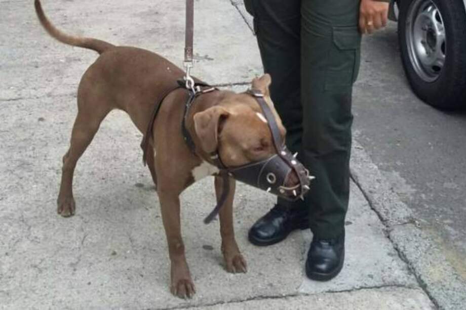 Fotografía tomada de Noticias Caracol.