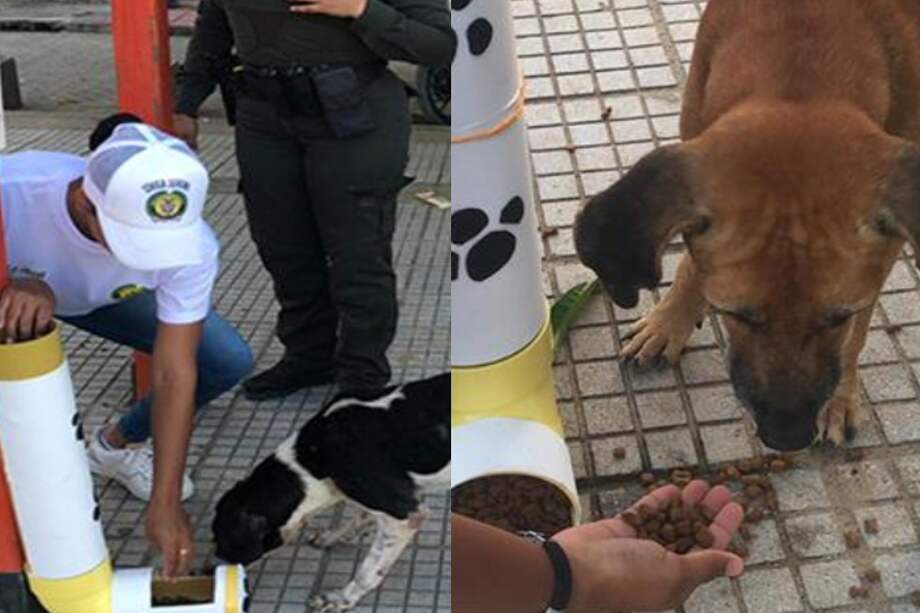 Imagen de los dispensadores de comida.