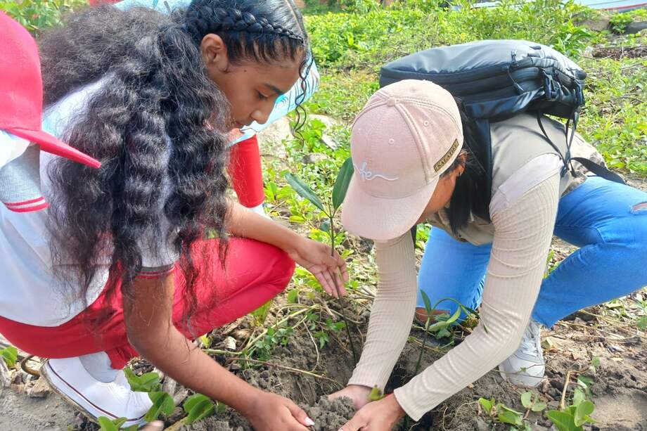 Los niños que le dieron voz al manglar: la escuela que convirtió un ecosistema invisible en un aula viva.