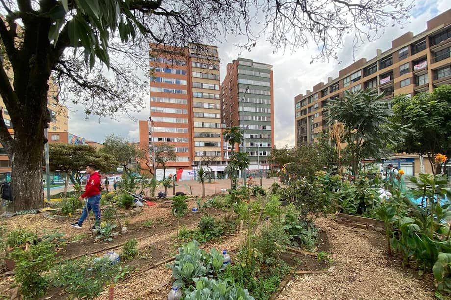 La Huerta Alison, en el Parque de los Hippies, lleva casi cinco años entre cultivos, talleres y procesos de memoria.