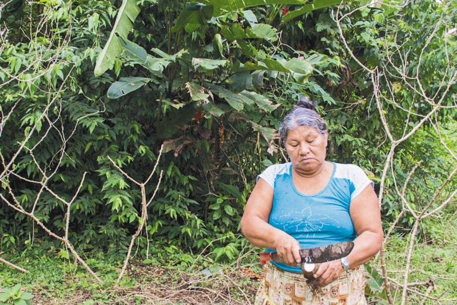 La población indígena y campesina de Cuyabeno (Ecuador) vive del ecoturismo desde los noventa. / Fotos: Sergio Garrido