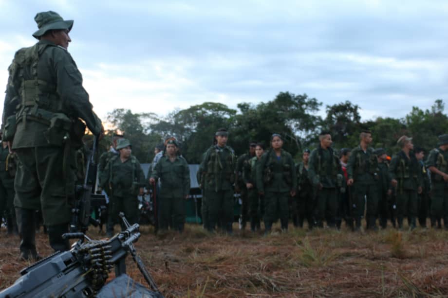 En 20 zonas veredales y 7 campamentos se agruparán todos los combatientes de las Farc a partir del próximo martes 6 de diciembre. / Edinson Bolaños