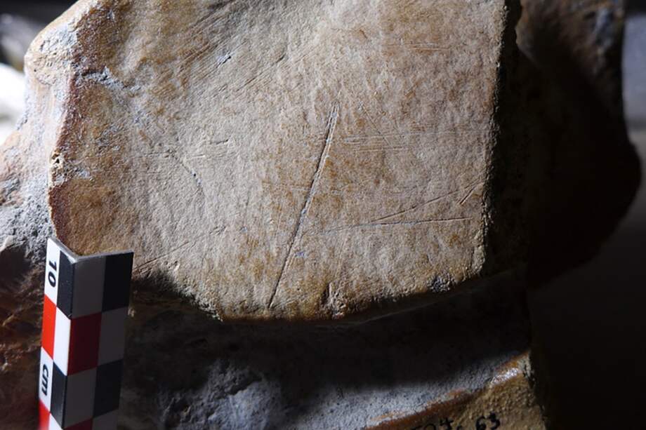 Esta imagen publicada por la Universidad de Leiden, en los Países Bajos, muestra profundas marcas de corte en el hueso del talón de un elefante macho, de unos 50 años de edad al morir.
Según un nuevo estudio, los neandertales podrían haber vivido en grupos más grandes de lo que se creía, cazando enormes elefantes que eran hasta tres veces más grandes que los actuales.