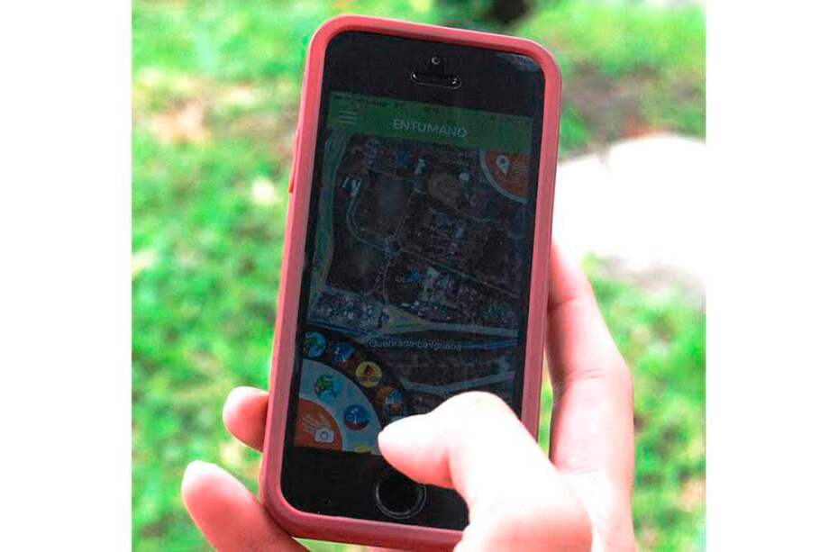 Crean aplicación para que ciudadanos presenten denuncias instantáneamente