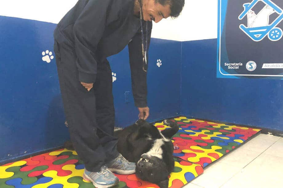 En los hogares de paso, los habitantes de calle están recibiendo atención médica, además de participación en actividades lúdicas y deportivas para soportar el encierro. / Secretaría de Integración Social