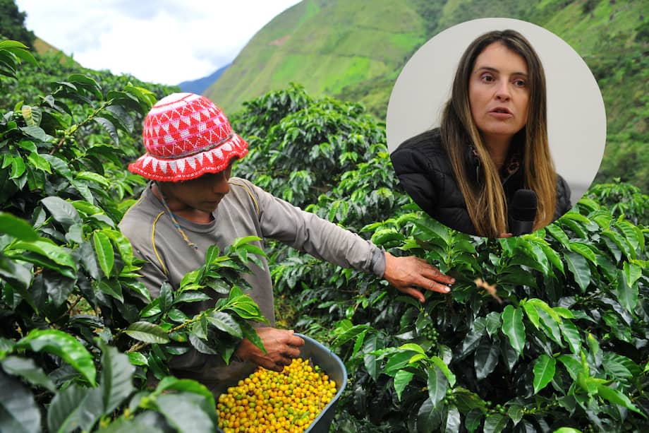 Críticas a proyecto de Paloma Valencia por artículos que afectarían acceso a crédito de pequeños productores.