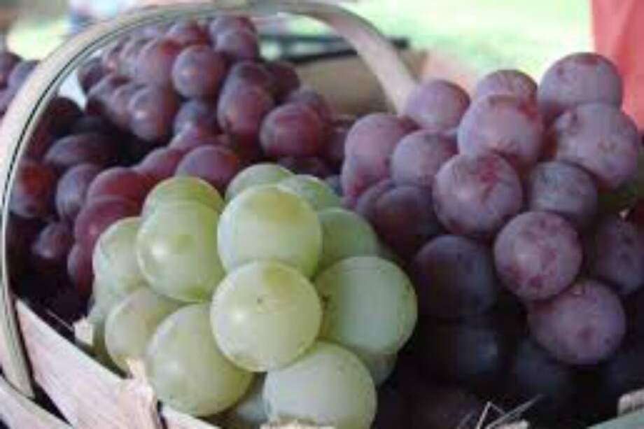 Las uvas para vendimia son muy sensibles a su clima.