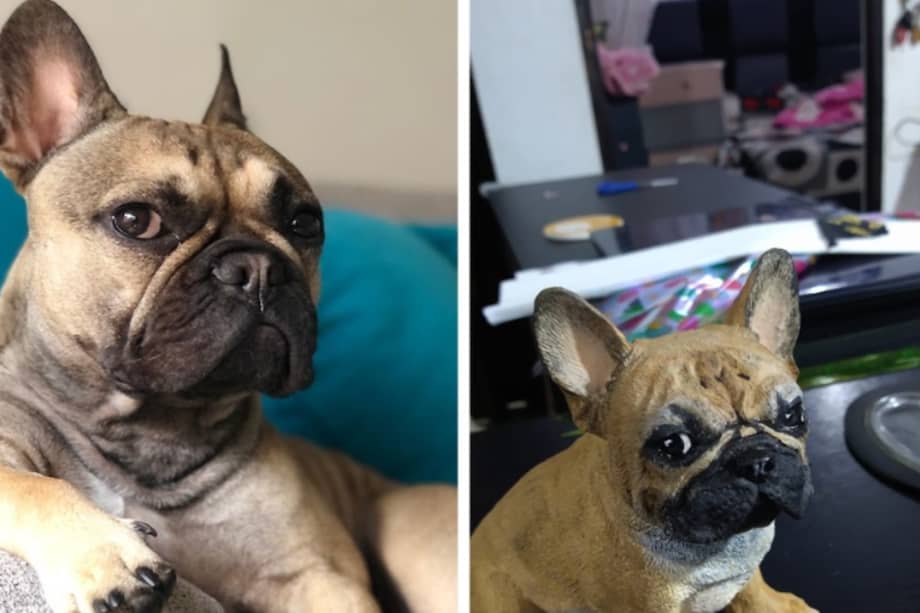 Los clientes de Memory Art aseguran que esta marca les ha ayudado a sobrellevar mejor el duelo por la pérdida de su animal de compañía.