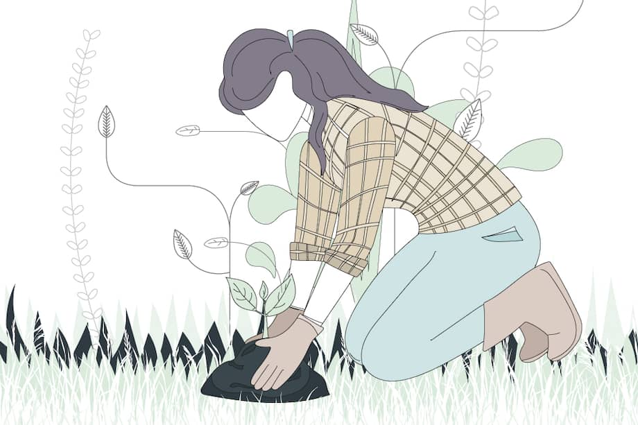 Cómo utilizar adecuadamente las herramientas para jardinería