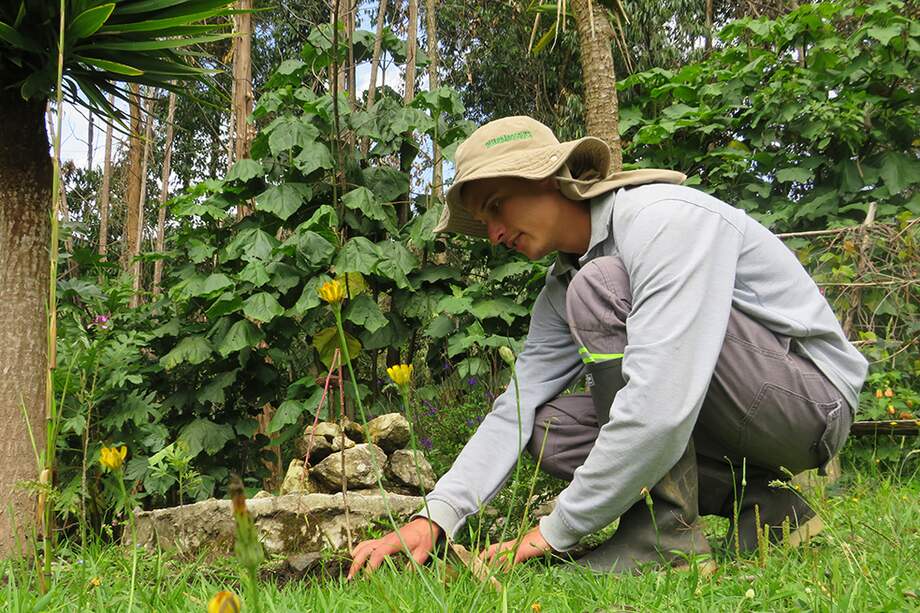 La Administración Distrital instaló 500 ecohuertas y ofertó capacitaciones para que las personas aprendan a manejarlas.