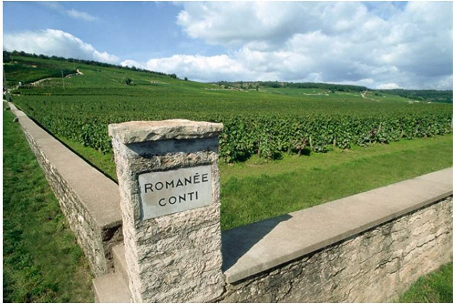 Viñedo de la bodega de Domaine de la Romanée-Conti.