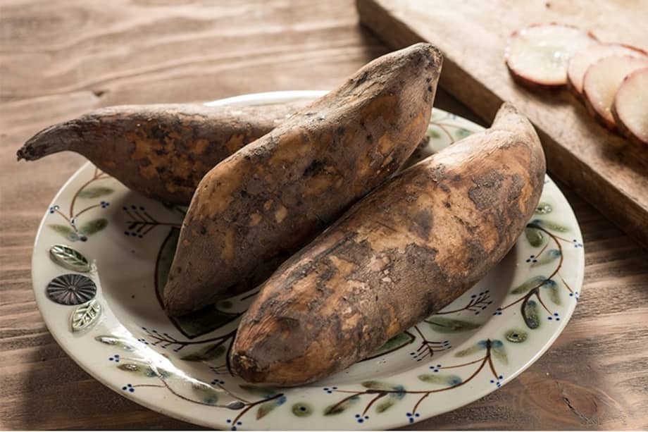 El yacón, un tubérculo andino que se confunde fácilmente con la yuca, pero que sorprende por su sabor dulce, su textura crujiente y sus beneficios para la salud.