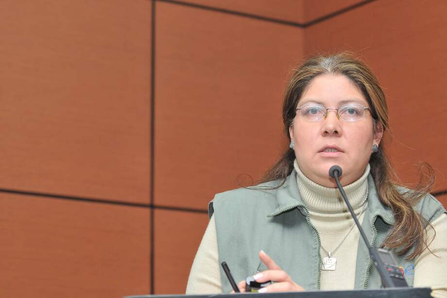 Según Alejandra Barrios, directora de la MOE, el Mundial de Fútbol de Brasil podría afectar la participación ciudadana en las urnas. / Archivo