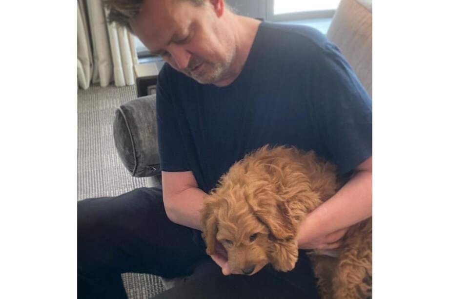 En la foto aparecen Matthew Perry y su perro Alfred.