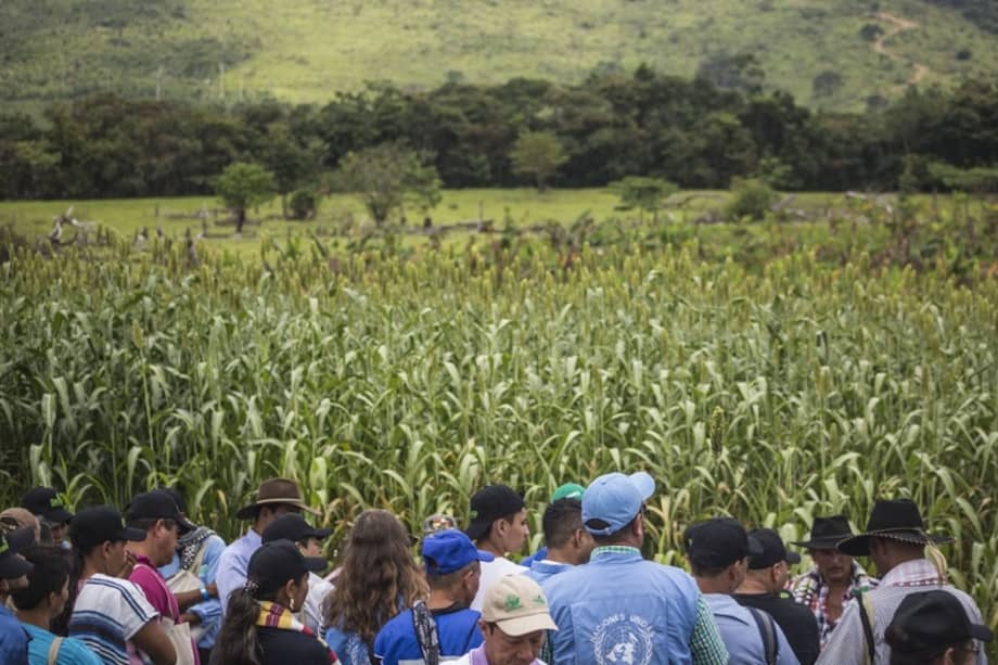 El proceso de reconciliación con la comunidad fue interrumpido por las amenazas de desconocidos a los excombatientes de las Farc.