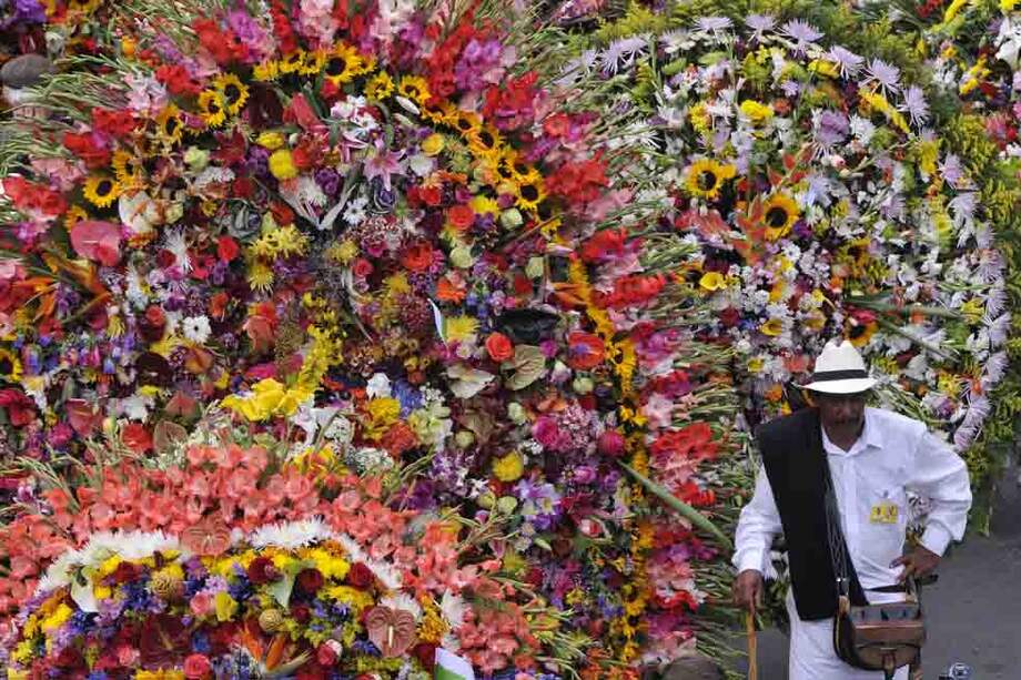 Este domingo, como es tradición desde hace 56 años, desfilarán cientos de silleteros por las calles de Medellín. Saldrán a las 2:00 p.m. del Puente Guayaquil. /Luis Benavides
