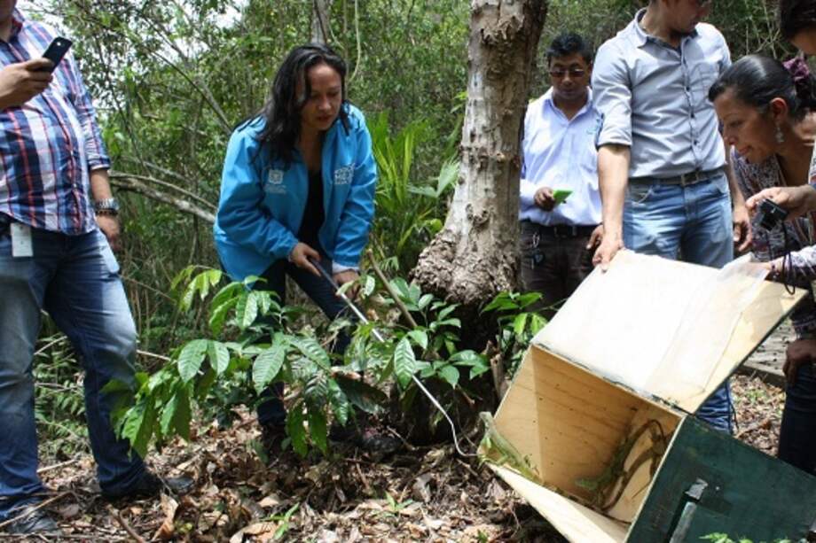 Secretaría de Ambiente