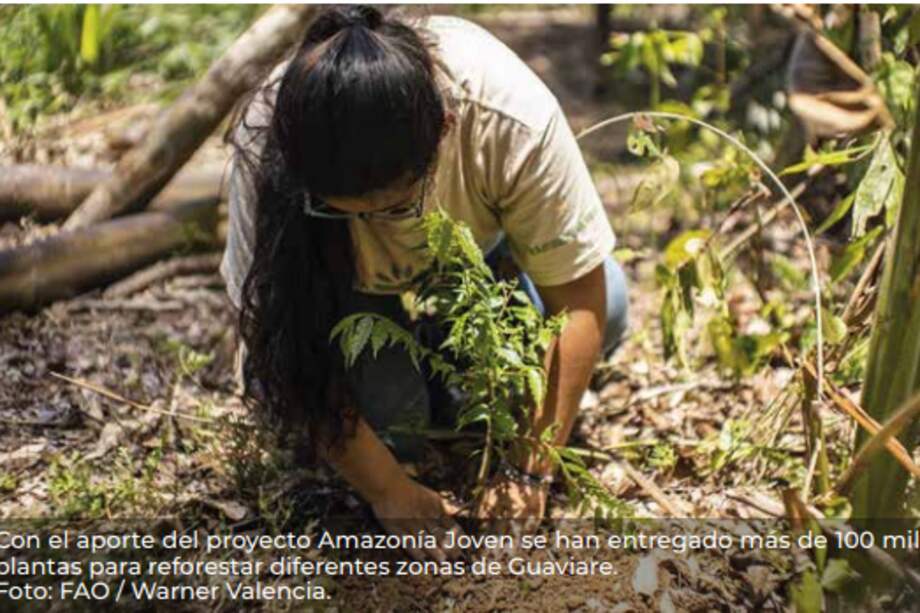 “Yo Soy Amazonía”: la campaña que busca apoyar jóvenes del Guaviare