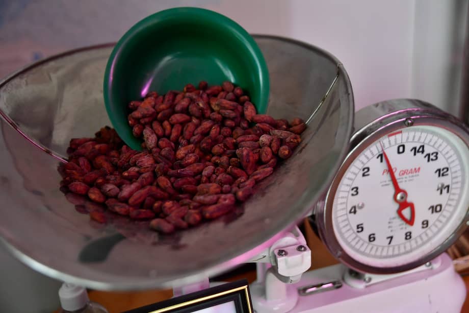 El cacao colombiano se caracteriza en el sector gastronómico por su diversidad genética.
