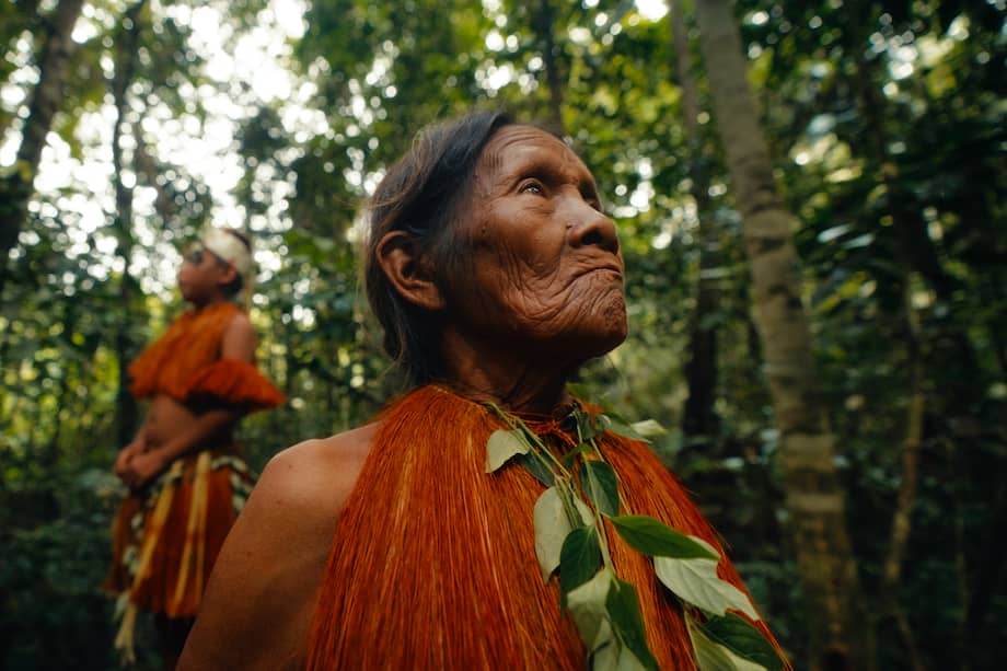 Amazonas. Campaña Descubre la Diversidad de Colombia, El País de la Belleza.