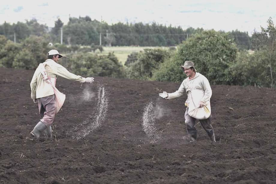 Archivo El Espectador