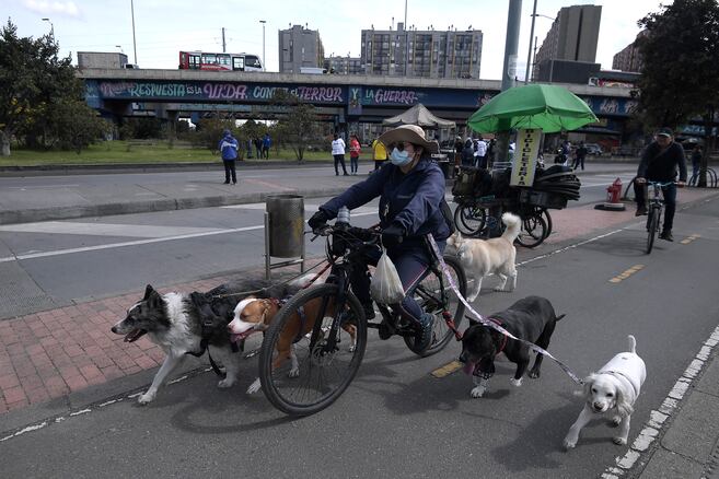 Pedalee junto a su perro: parques y rutas pet-friendly en Bogotá para el Día de la Bicicleta