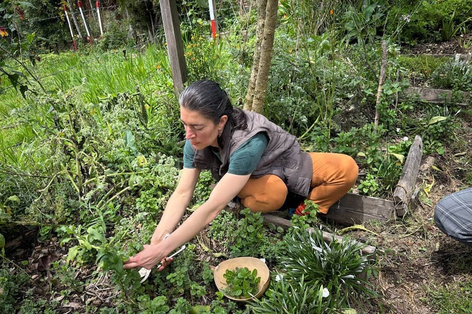 Imagen de referencia.