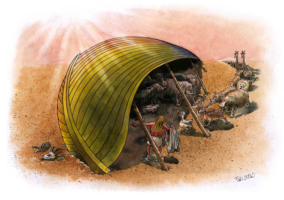 Magola entrevista a Fan Li Tao: “la creación de cómics me brinda una felicidad incomparable”