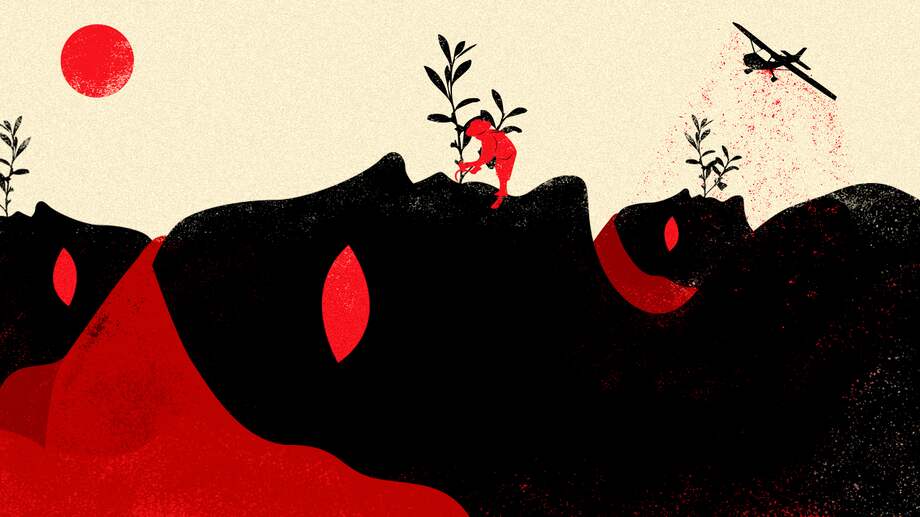 Esclavizadas y “cocificadas”: la vida de las mujeres en territorios cocaleros