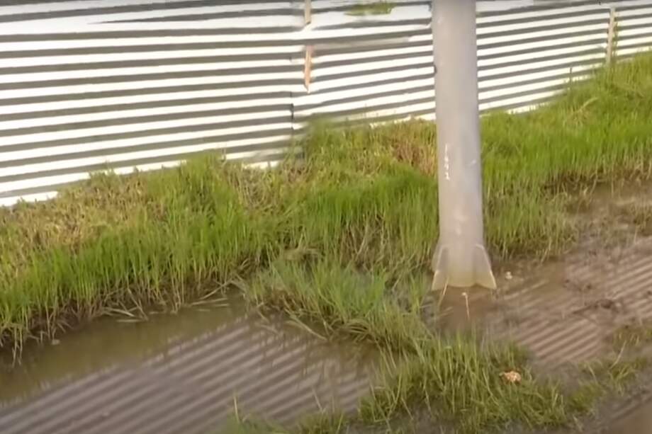 Luego de los hechos, Codensa acudió al lugar para tapar la caja eléctrica.